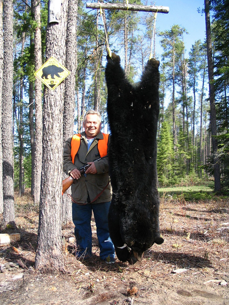 Black Bear Hunts